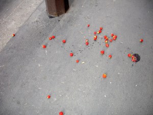 v en tragedie i paris 3563